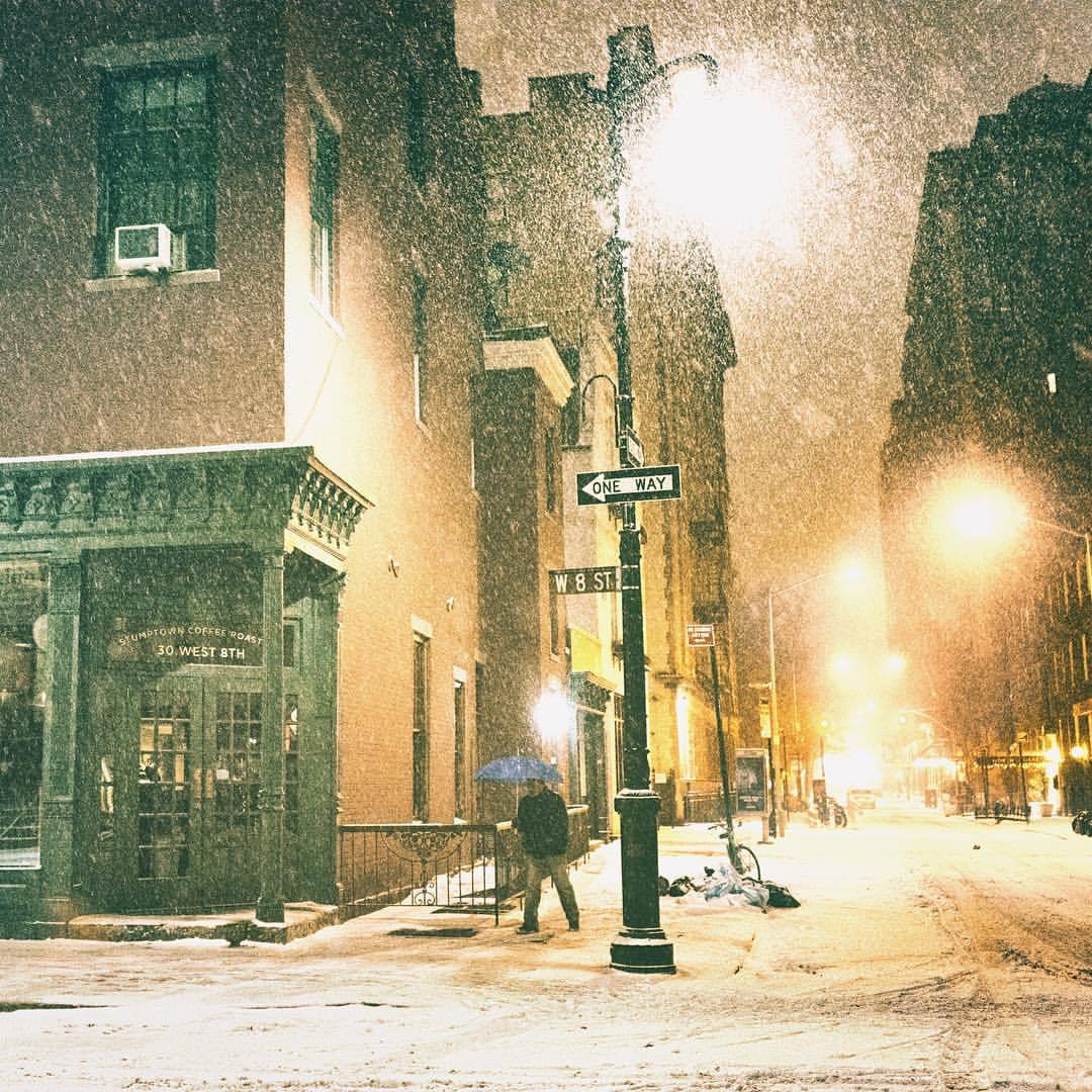 New York City in the Snow by Vivienne Gucwa