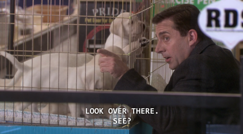 four-toed-creed:Michael goes to the pet store7x15 The Search