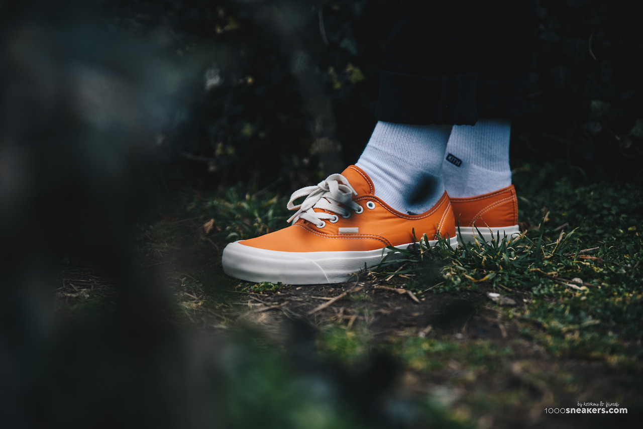 vans nike collab