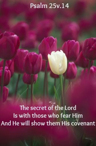 walking-with-jesus-psalm-25-14-nkjv-the-secret-of-the-lord-is-with