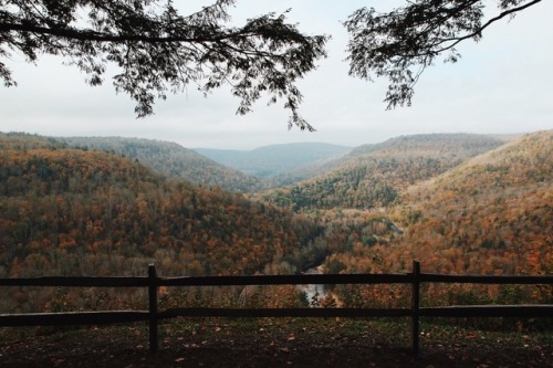 dayzea:Worlds End State Park, Pennsylvania.10.15.17