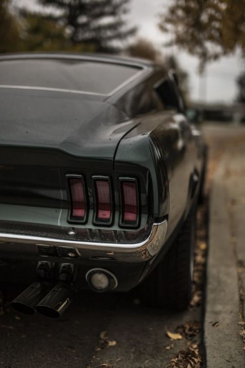 moment-japan:Mustang Fastback