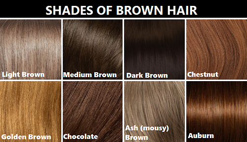 Everything 4 Writers - Brown and Blonde Hair Shades - good ...