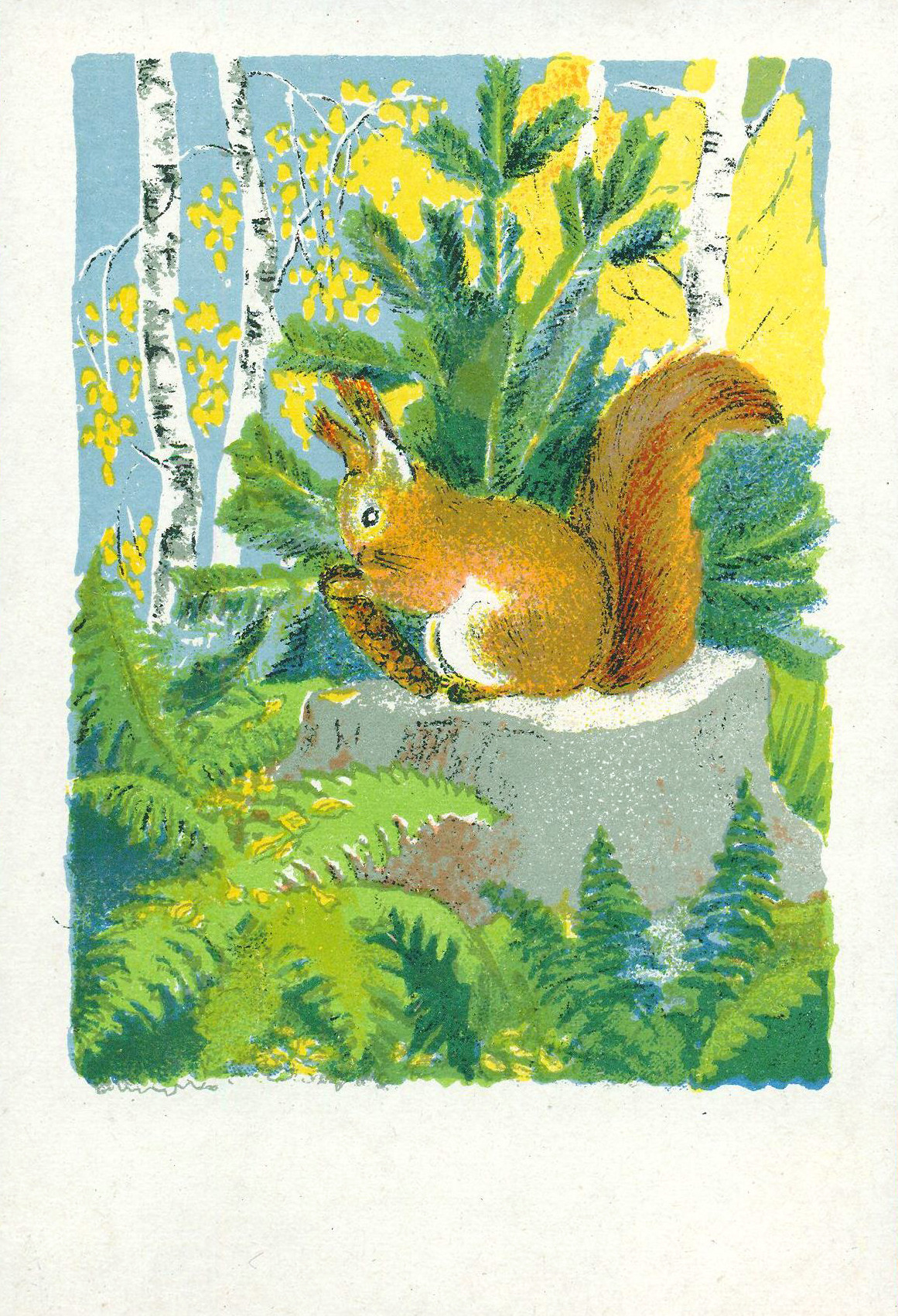 Squirrel. Lithograph by M. Orlova. Soviet postcard from 1950.