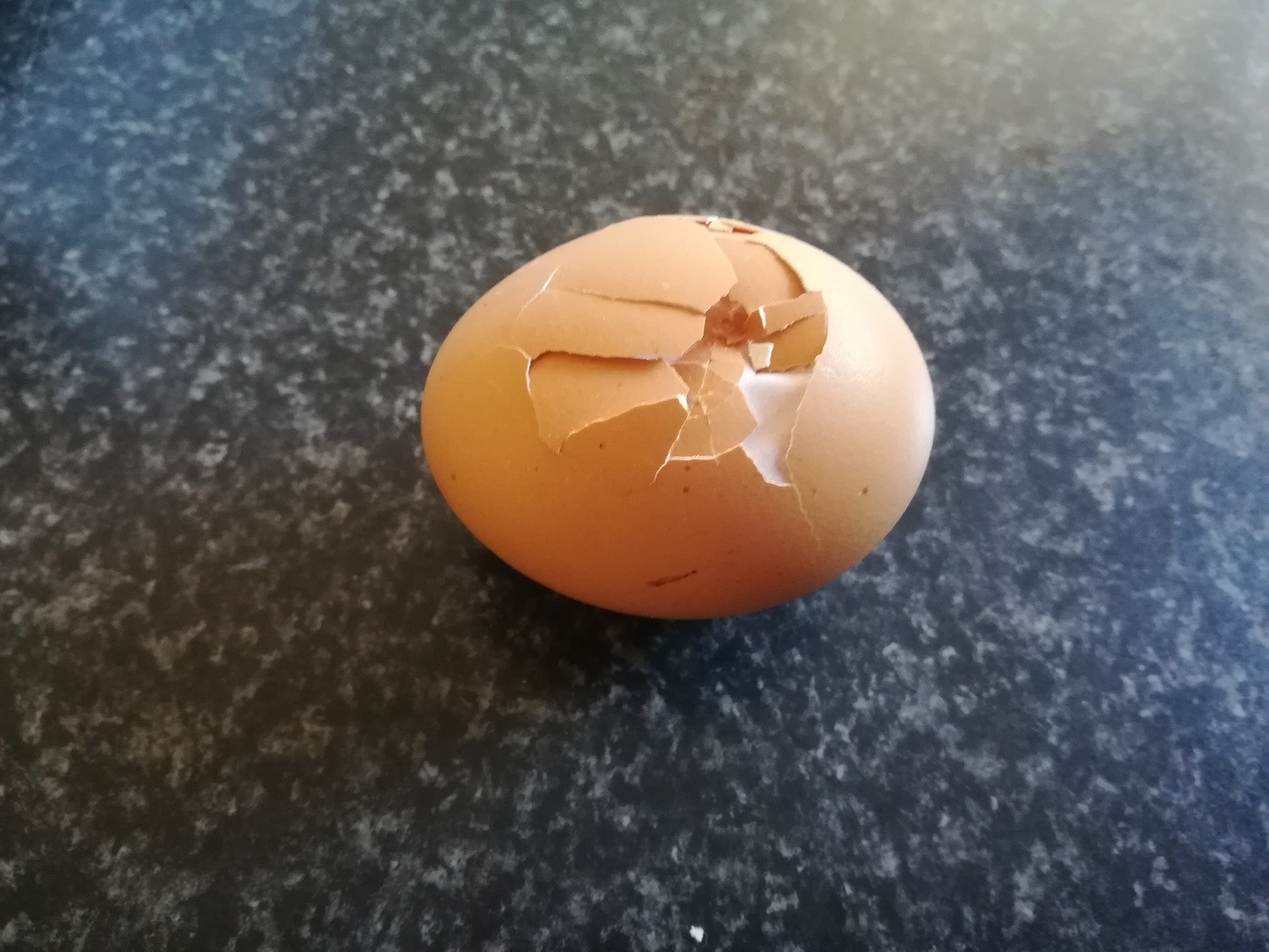 cracked egg on Tumblr