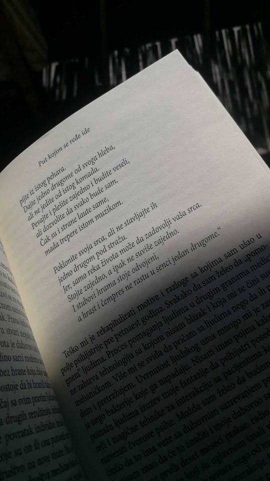 citati i poruke Tumblr