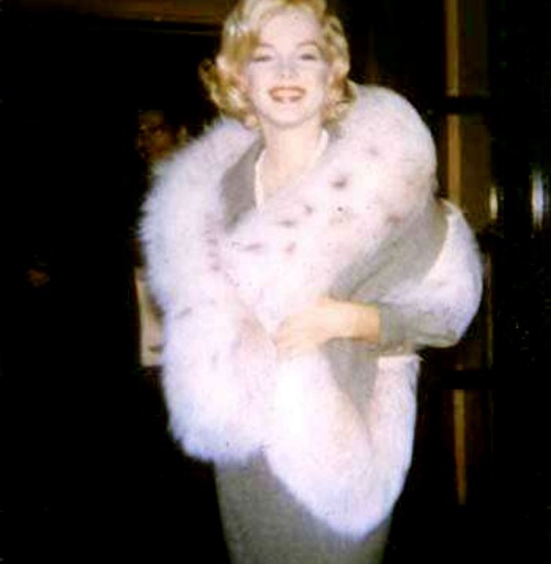alwaysmarilynmonroe