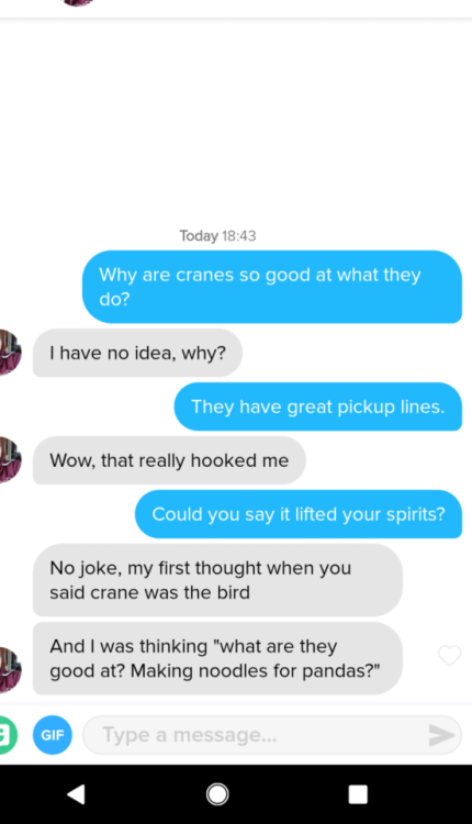 tinderventure:When you have fresh material but get a really...