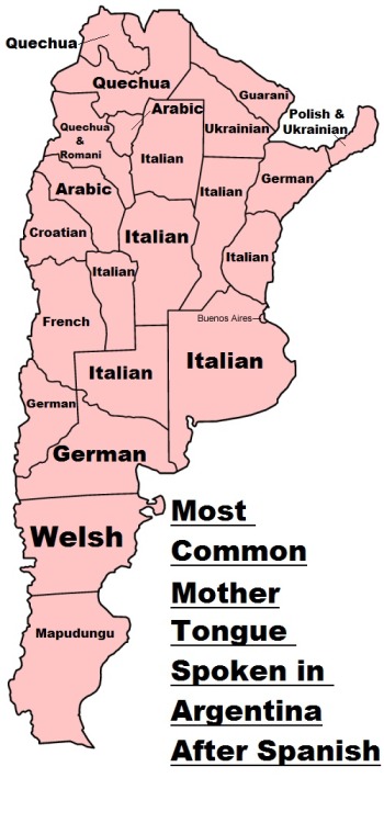 latin-american-diversity:Most spoken mother tongues in...