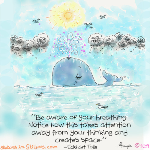 sketchesinstillness:Yogi Whale