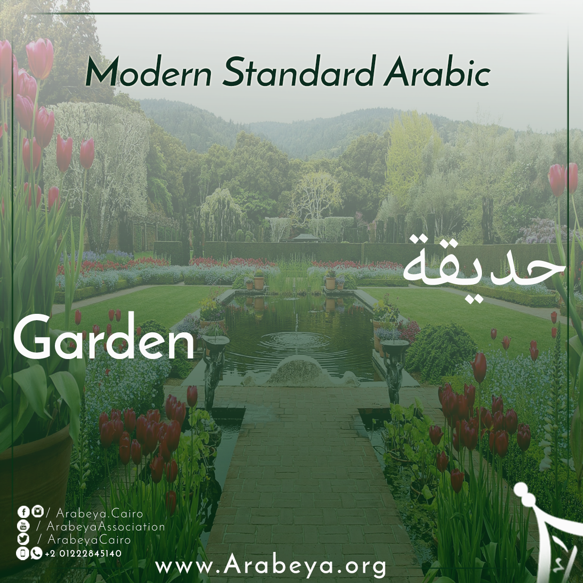 Arabeya Arabic Language Let S Learn New Arabic Word