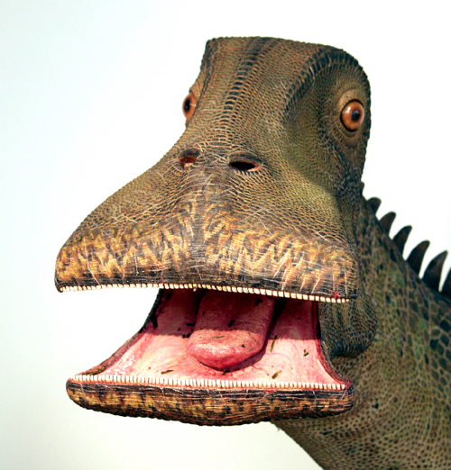 which dinosaur has the most teeth