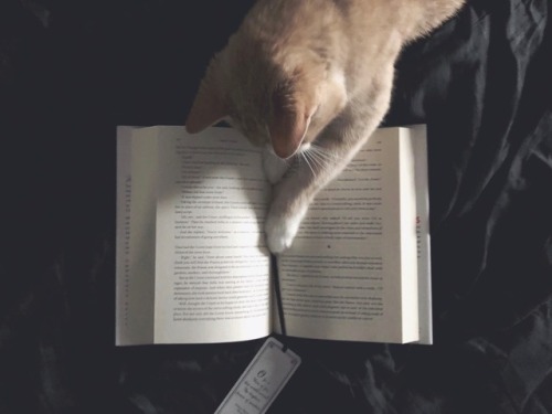 freckles-and-books:Bookmark eater