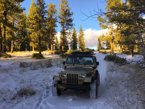 jeepinndrinkin jeepin jeeplife jeepdog jeep yj mountains getoutside adventure wanderlust forest photography photo nature neature gettingmuddy