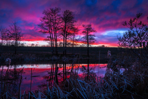 s-m0key:Super Sky! Absolutely unreal sunset in Albertas Mighty...