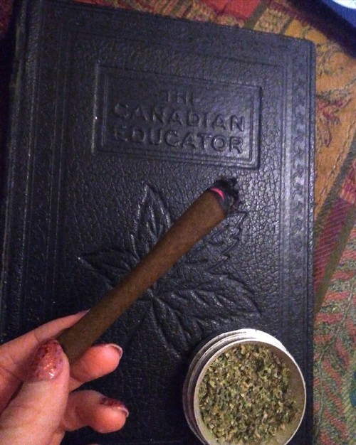 heartfelt-high:Never has a last minute blunt been rolled faster...