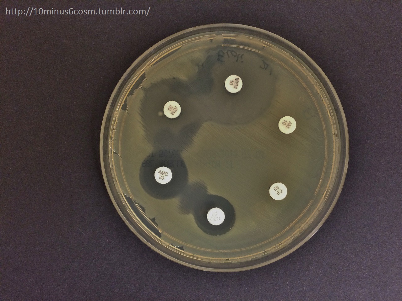 MICROCOSM | Antimicrobial Resistance Series 11:...