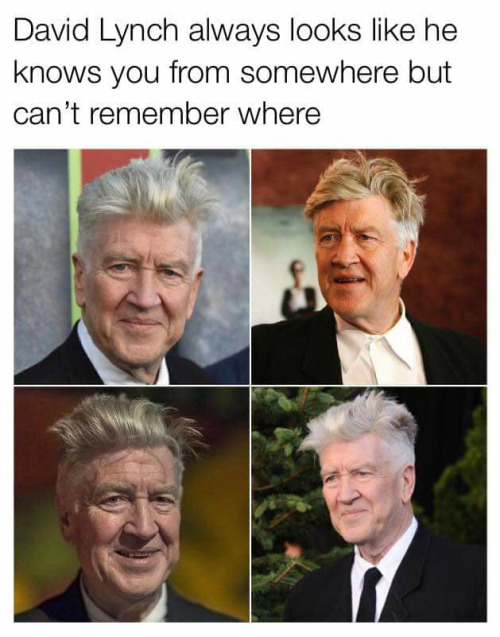 david lynch on Tumblr