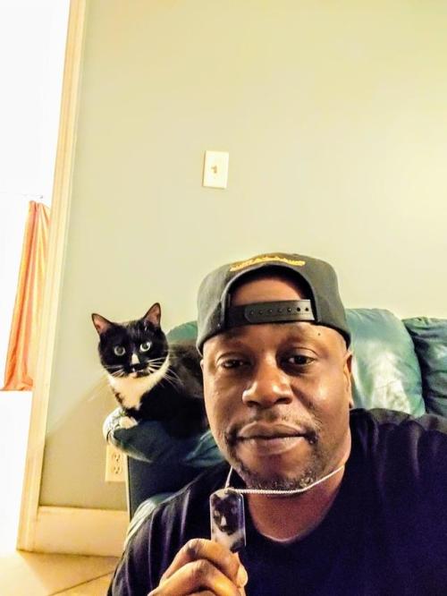 bringmecatsposts