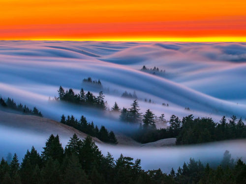 flowartstation: Fog waves: photographer Nick Steinberg captures...