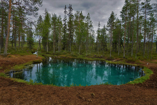 90377:Grodkällan, artesian cold spring in Arvidsjaur by Mad...