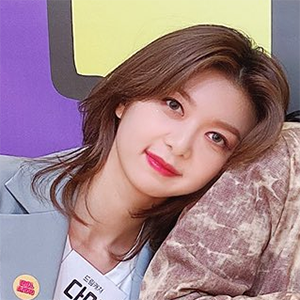 twidreamcatcher
