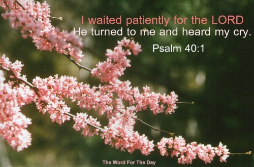 The Word For The Day • Verse: James 5:7 ‘be Patient………see How The Farmer