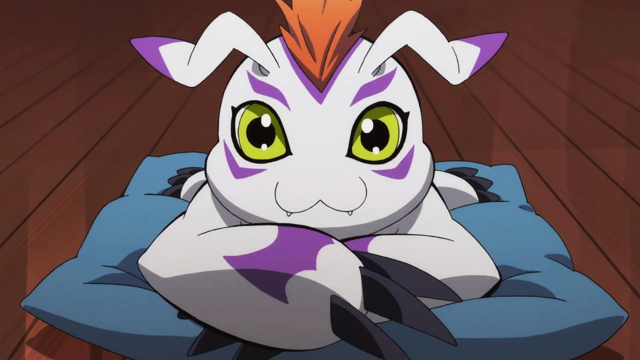 Gomamon- Digimon Adventure Tri: Ketsui - Let's Not Do This ...