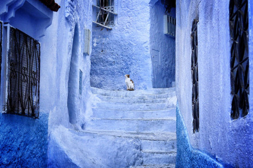 salahmah:Chefchaouen, a small town in northern Morocco, has a...