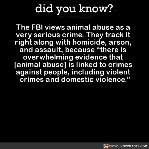 did-you-kno:The FBI views animal abuse as a very serious...