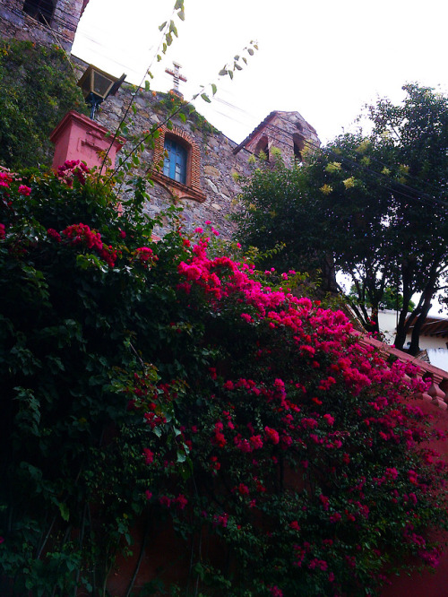 tepitome:San Miguel de Allende, 2018.