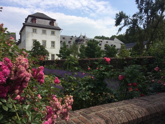 Single westerwald