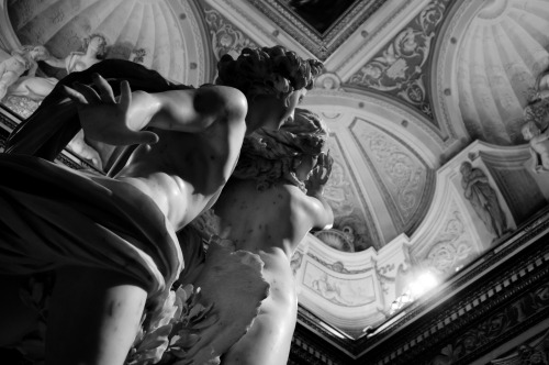 hagakuremarco:
“ lambertmoiroux:
“ Villa Borghese
Rome
avril 2016
”
Rome Caput Mundi