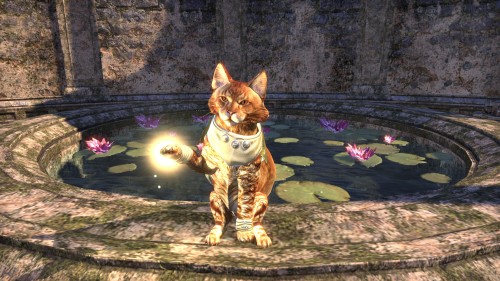 thalmage