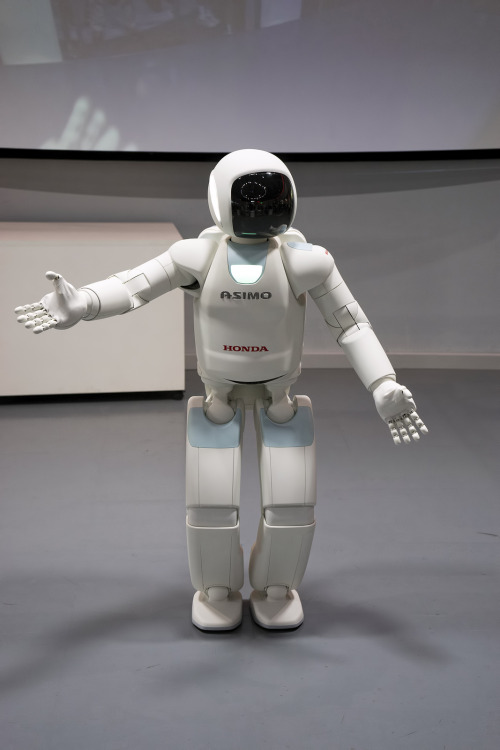 asimo on Tumblr