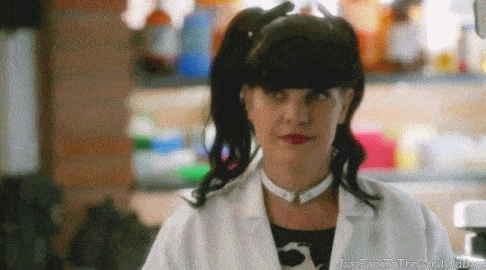 Pauley Perrette What Is She Doing Now