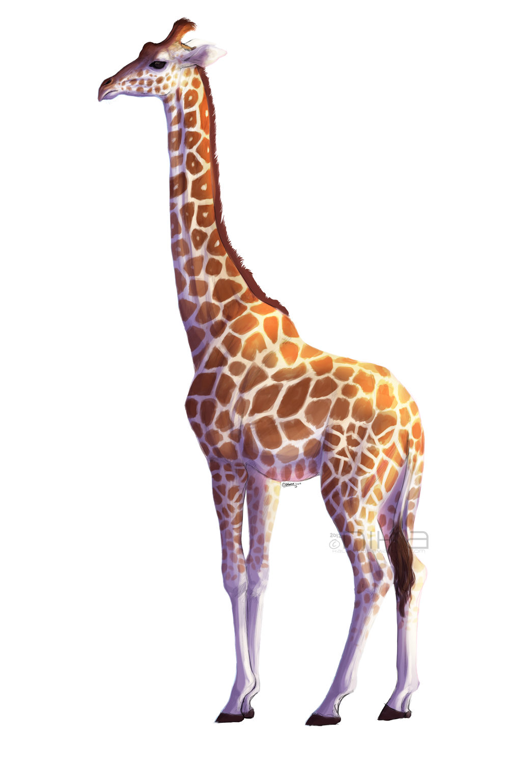 4 foot tall giraffe