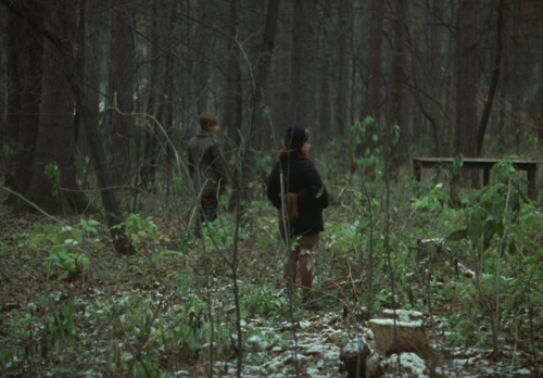 alexalleshater:Mirror (1974) - by Andrei Tarkovsky