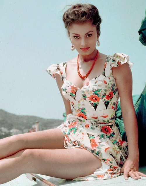 gatabella:Sophia Loren, early 1950s