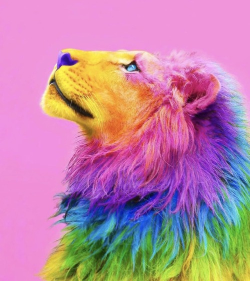 crossconnectmag:Photo based digital colored animals by Space...