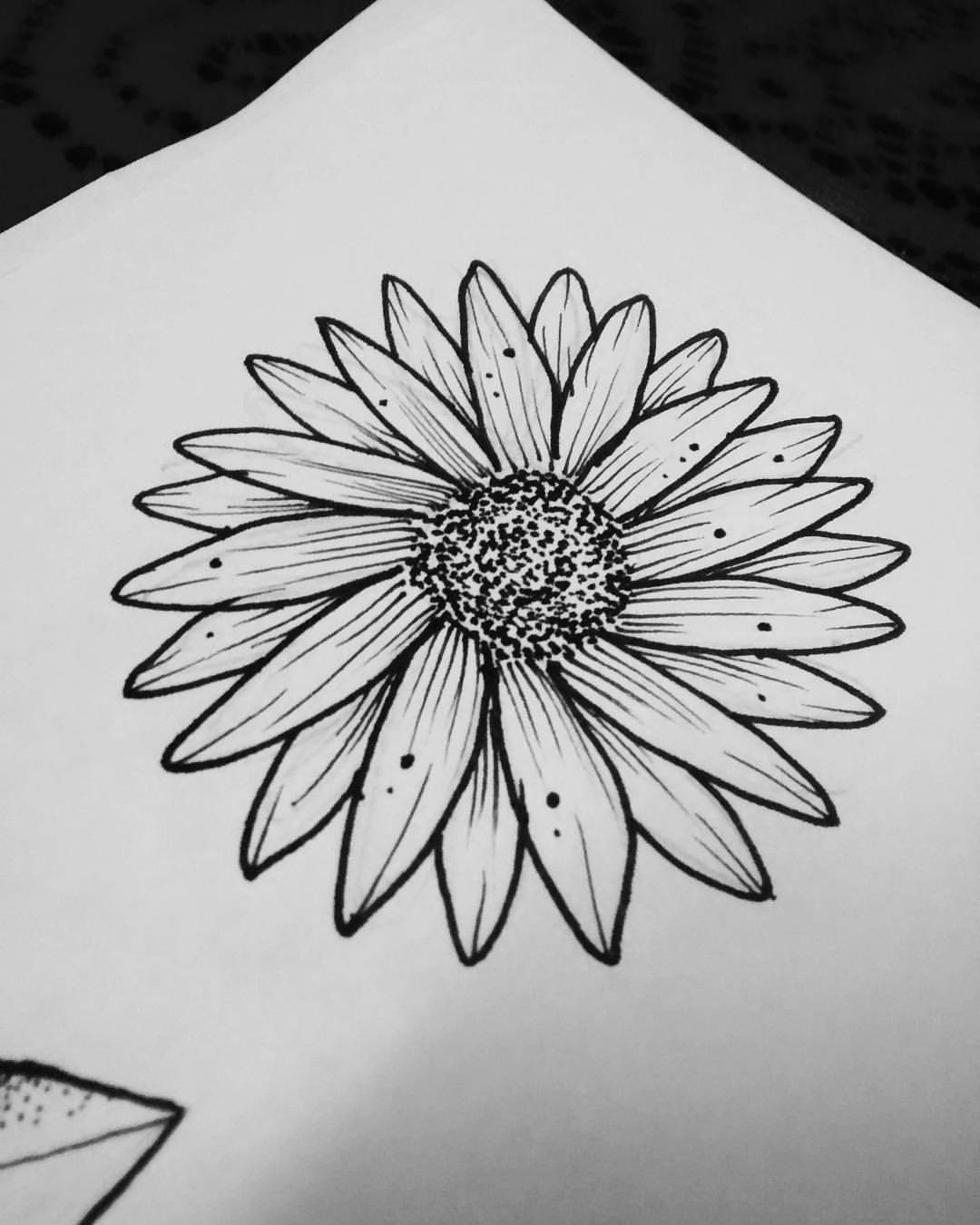Desenho Tumblr Flores-simples flores desenho tumblr ~ Imagens para