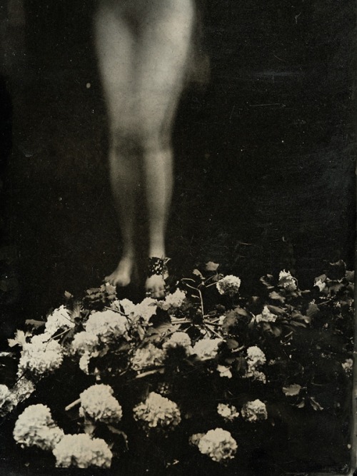 almavio:Isa Marcelli ph. | Série Les Adventices, 2010- 2014