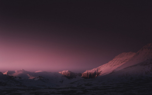 nevver:Return to Magenta, Jan Erik Waider