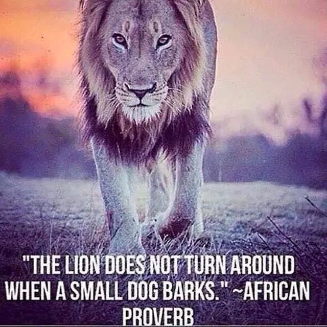BodyFuel1 — #lion #bark #dog #motivation #animals #leader...