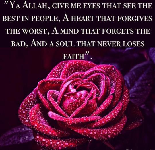 Best Islamic Quotes Resource Online: Photo