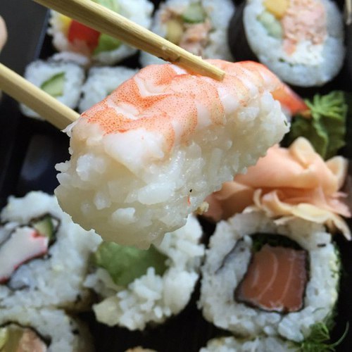 Sushi On Tumblr