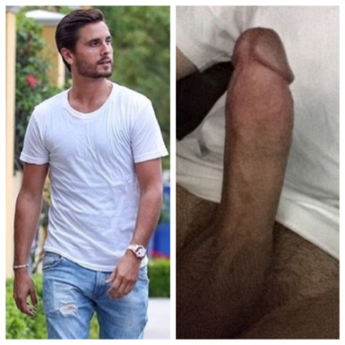 celebrity-dongs:Scott Disick’s impressive tool.