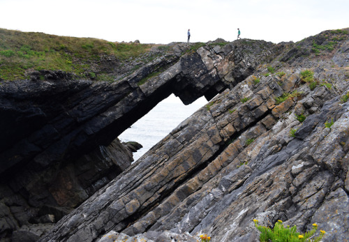 rherlotteshadow:On Worm’s Head, Gower, Wales