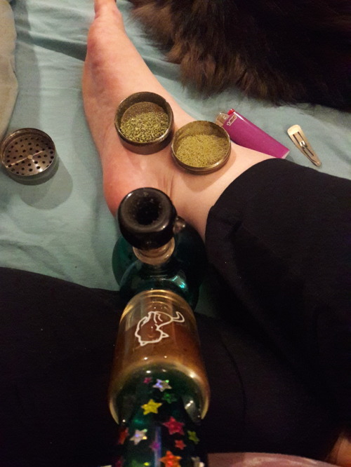 princessdeeznutz:Kief sandwich time!! ⏰