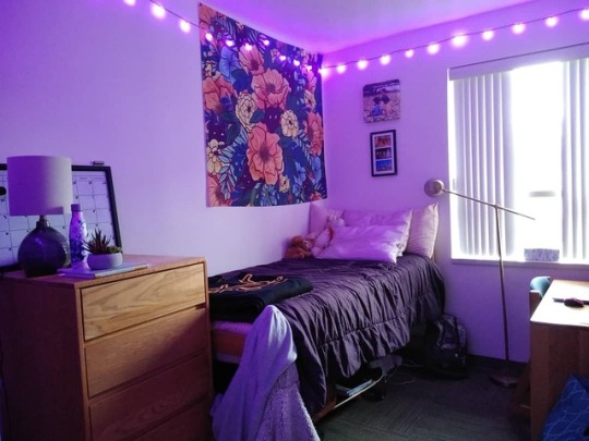 dorm on Tumblr